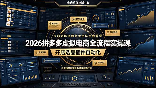 （19136期）2026拼多多虚拟电商全流程实操课，开店选品插件自动化，多店矩阵运营新手避坑全套教学-小二项目网