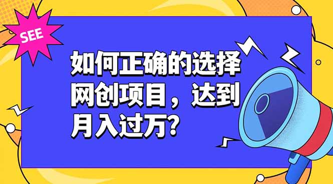 （19176期）如何正确的选择网创项目，达到月入过万？，本课程教你正确选择项目。-小二项目网