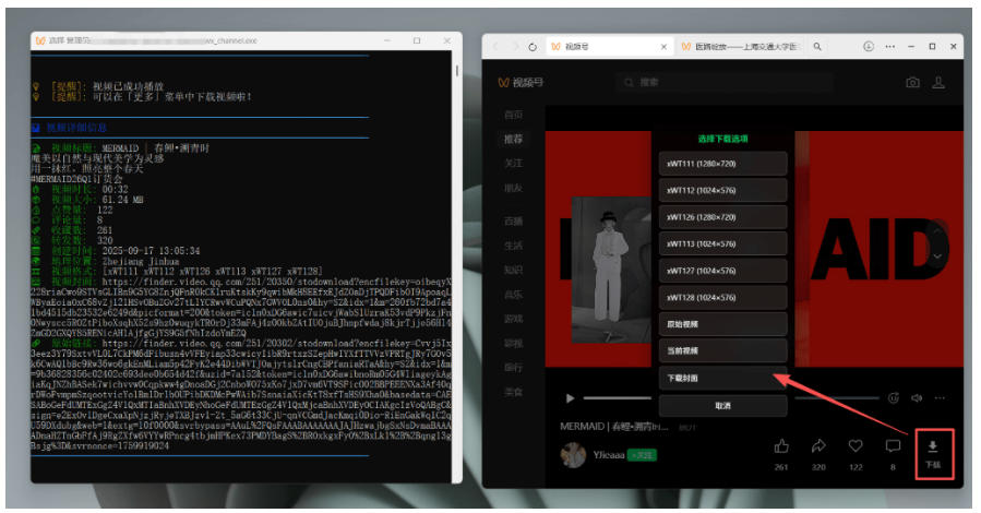图片[4]-Github热门工具，视频号下载神器又来了！一键注入下载按钮，轻松下载，使用便捷wx_channel-小二项目网