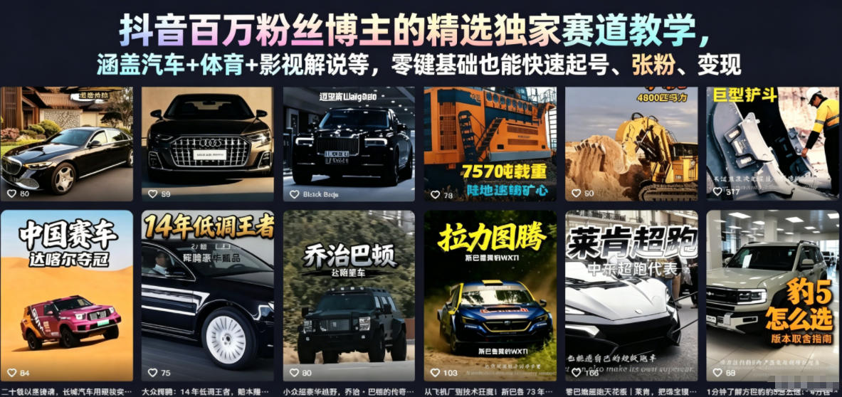 抖音百万粉丝博主的精选独家赛道教学，涵盖汽车+体育+影视解说等，零基础也能快速起号、涨粉、变现（更新0701）-小二项目网