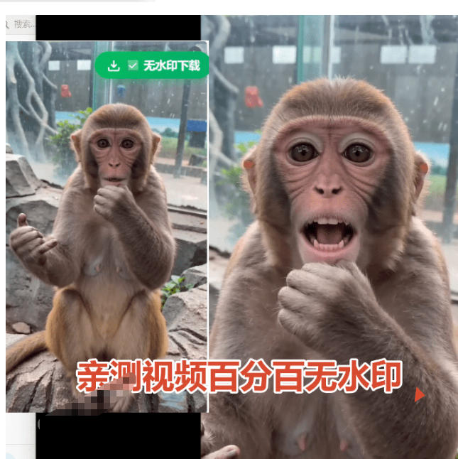 图片[2]-豆包无水印下载终于来了！支持豆包图片/视频，目前唯一免费使用的插件，浏览器拓展-小二项目网