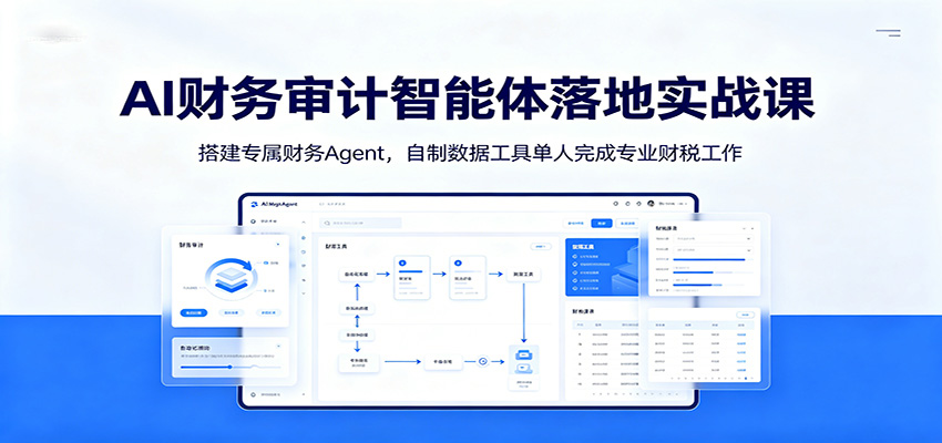 AI财务审计智能体落地实战课：搭建专属财务Agent，自制数据工具单人完成专业财税工作-小二项目网