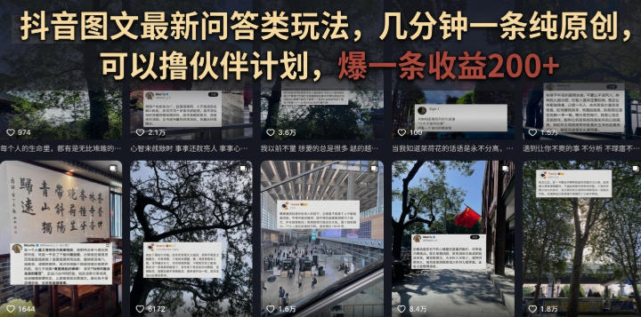抖音图文最新问答类玩法，几分钟一条纯原创，可以撸伙伴计划，爆一条收益200+-小二项目网