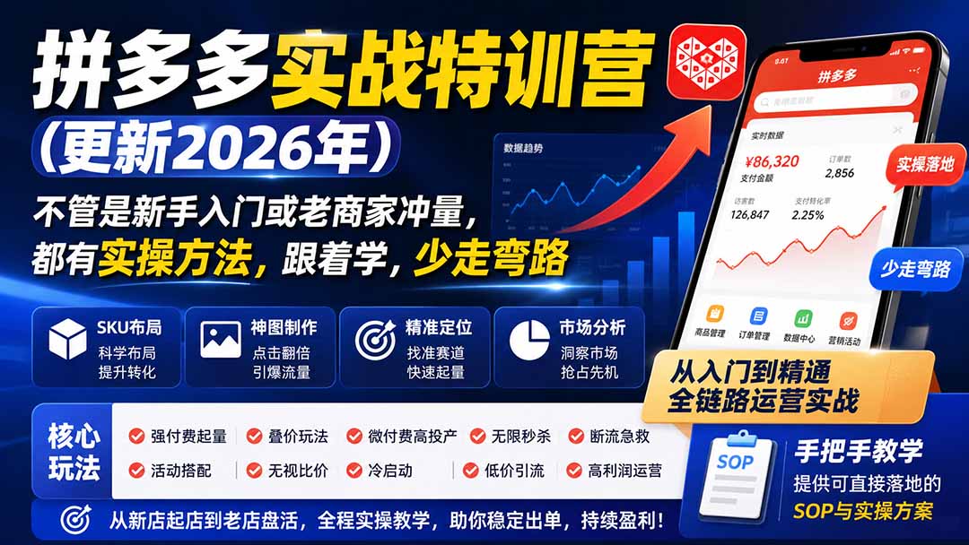 （19744期）拼多多实战特训营(更新2026年)：不管是新手入门或老商家冲量，都有实操方法，跟着学，少走弯路-小二项目网