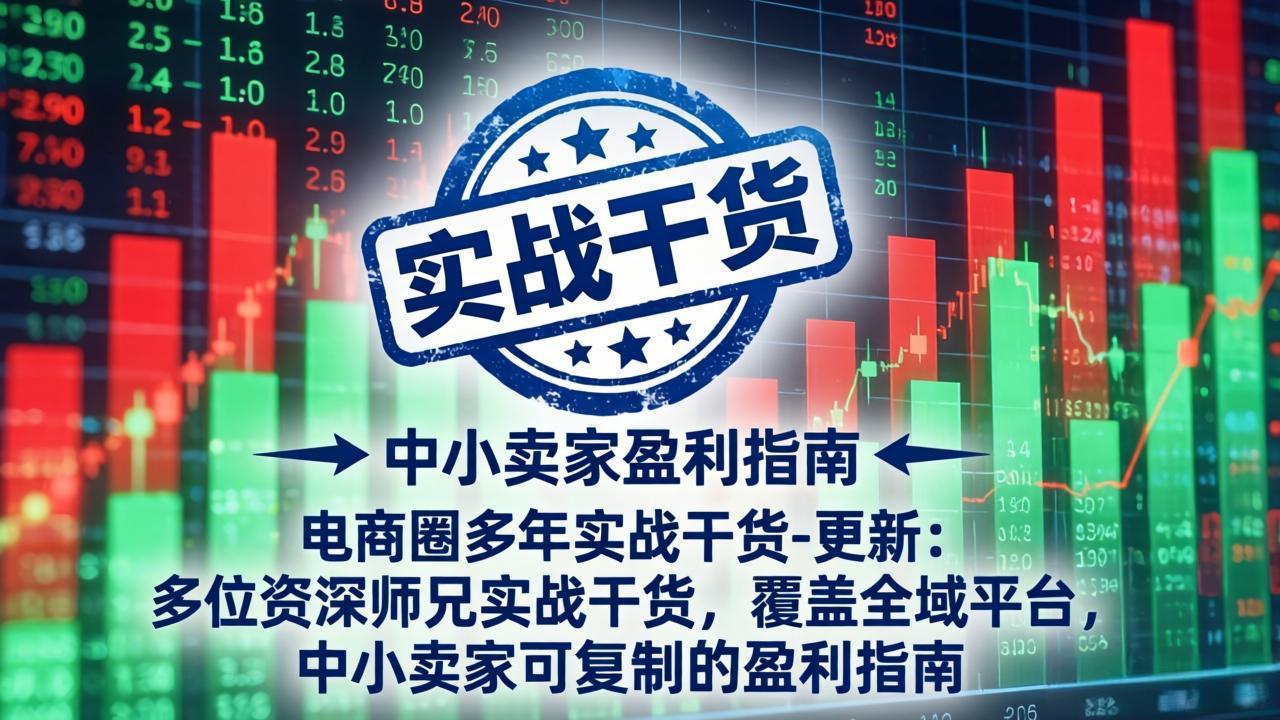 （19761期）电商圈多年实战干货-更新2026：多位资深师兄实战干货/覆盖全域平台，中小卖家可复制的盈利指南-小二项目网