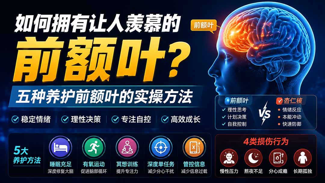 （19805期）付费文章：如何拥有让人羡慕的前额叶？五种养护前额叶的实操方法-小二项目网