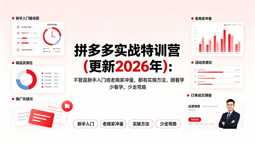 （19724期）拼多多实战特训营(更新2026年)：不管是新手入门或老商家冲量，都有实操方法，跟着学，少走弯路-小二项目网