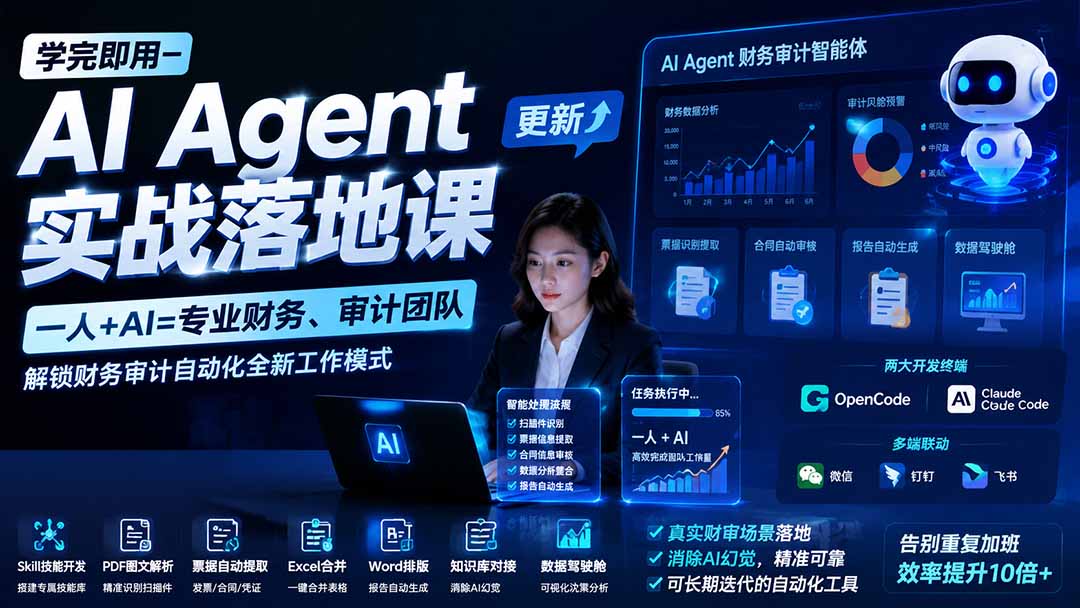 （19740期）学完即用—AI Agent实战落地课-更新：一人+AI=专业财务、审计团队，解锁财务审计自动化全新工作模式-小二项目网