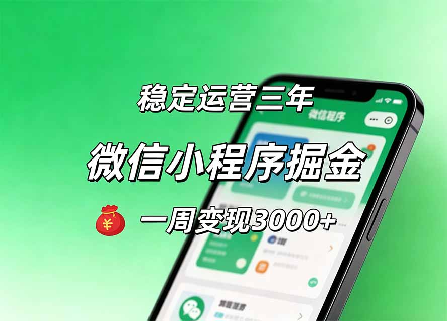 （20077期）月收益稳定1W+的微信小程序，前期积累客户，后期躺平养老，小白轻松上手-小二项目网