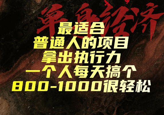 最适合普通人的项目，拿出执行力一个人每天搞个800-1k很轻松【揭秘】-小二项目网