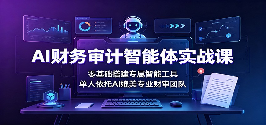 AI财务审计智能体实战课：零基础搭建专属智能工具，单人依托AI媲美专业财审团队-小二项目网