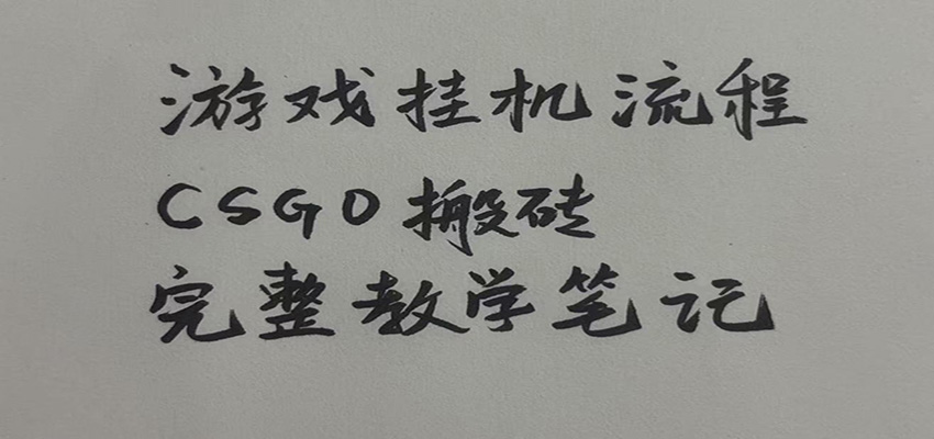 游戏挂机全流程笔记分享，CSGO游戏搬砖，小白看了当天学会见收益-小二项目网