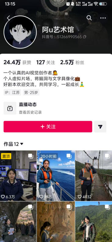 图片[2]-外面卖188的AI伪记录片掘金全攻略，抖音图文新赛道，轻松涨粉变现，拿创作者伙伴计划收益【文档】-小二项目网