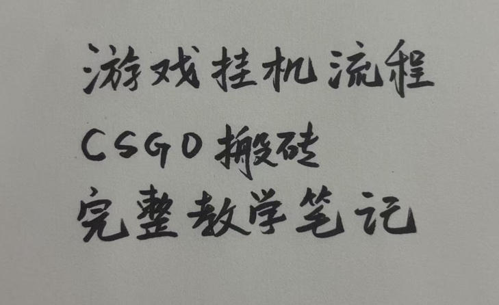 游戏挂G全流程笔记分享，CSGO游戏搬砖，小白看了当天学会见收益【揭秘】-小二项目网