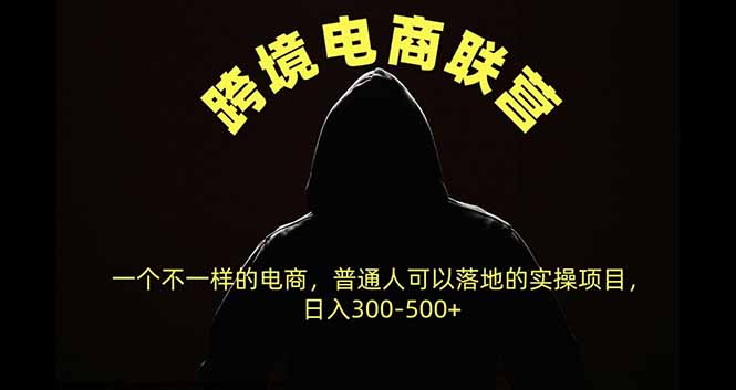 （20702期）跨境电商联营，一个不一样的电商，普通人可操作日入300-500+-小二项目网