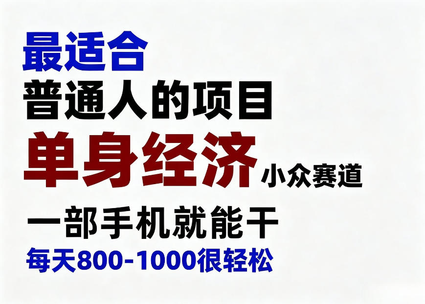 身经济小众赛道，一部手机就能干，每天搞个800-1000很轻松，最适合普通人的项目【揭秘】-小二项目网