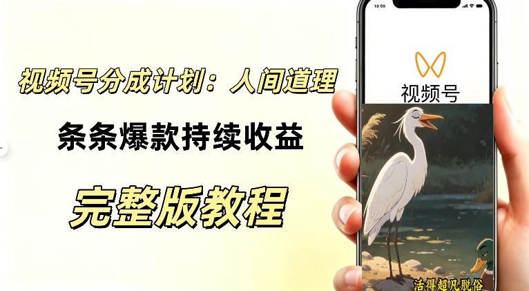 视频号新玩法之AI动漫画风励志视频，不用会画画、不用拍摄，持续化收益，详细拆解-小二项目网