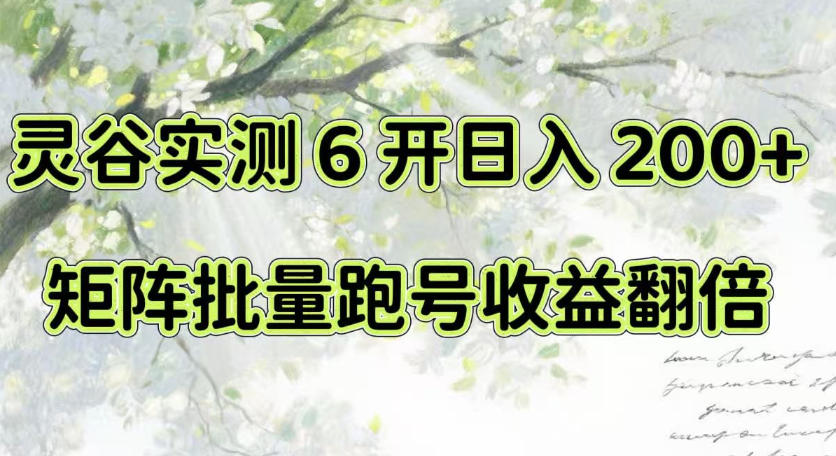 一台电脑就能做！灵谷实测6开日入200+，矩阵批量跑号收益翻倍【揭秘】-小二项目网