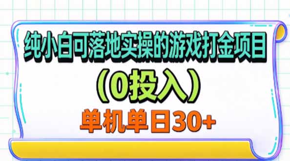 （20993期）纯小白可落地实操的游戏打金项目（0投入）单机单号30+-小二项目网