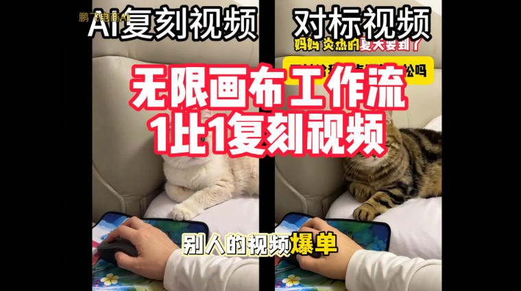 宠物带货视频复刻，无限画布工作流1比1，不用拍摄、不用布景、不用真人出镜，几分钟就能做出一条专业带货视频-小二项目网