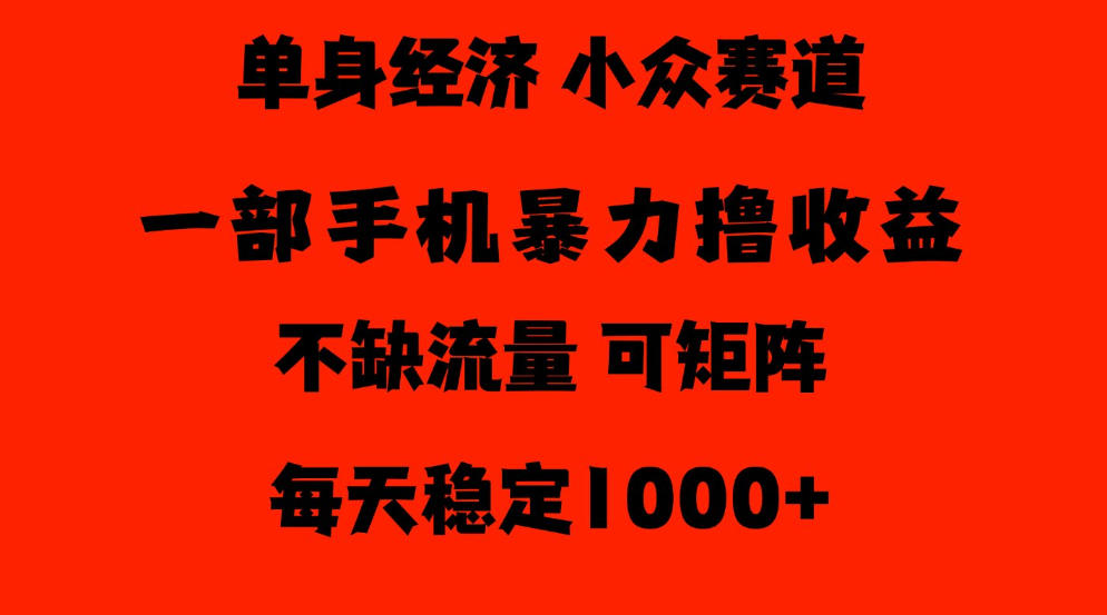 26年暴力单身经济，稳定日入500-1k，不缺流量，流量极大，冷门小众赛道，门槛低小白轻松上手【揭秘】-小二项目网