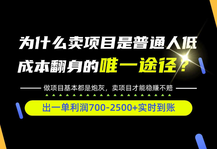 普通人如何靠互联网賺取自己的第一桶金！全类目实操型教学，看完你全都懂了！【揭秘】-小二项目网