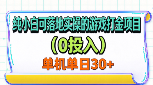 纯小白可落地实操的游戏打金项目（0投入）单机单号30+-小二项目网