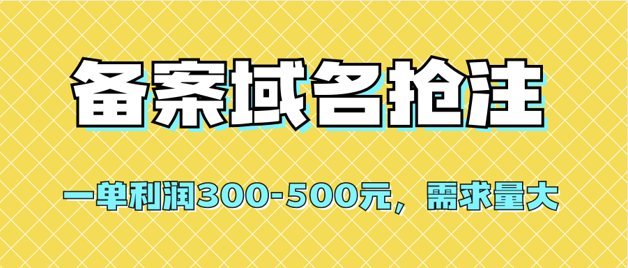【全网首发】备案域名抢注，一单利润300-500元，需求量大-小二项目网