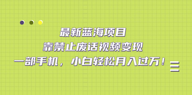 最新蓝海项目，靠禁止废话视频变现，一部手机，小白轻松月入过万！-小二项目网