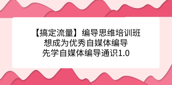 【搞定流量】编导思维培训班，想成为优秀自媒体编导先学自媒体编导通识1.0-小二项目网