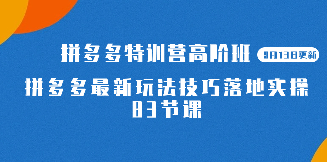 2023拼多多·特训营高阶班【9月13日更新】拼多多最新玩法技巧落地实操-83节-小二项目网