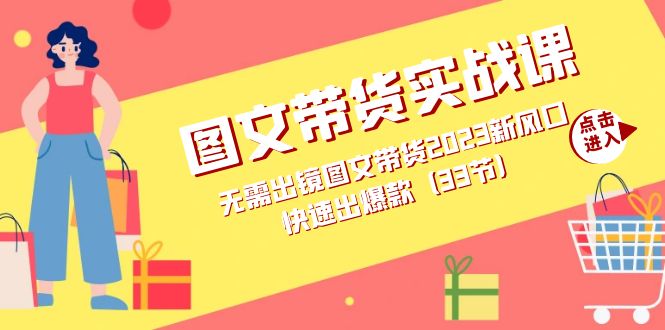 图文带货实战课：无需出镜图文带货2023新风口，快速出爆款（33节）-小二项目网