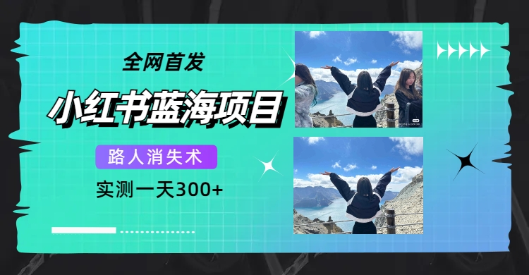 全网首发，小红书蓝海项目，路人消失术，实测一天300 （教程 工具）-小二项目网