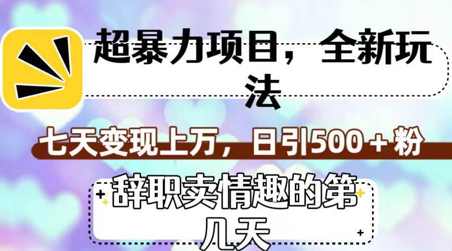 超暴利项目，全新玩法（辞职卖情趣的第几天），七天变现上万，日引500 粉-小二项目网