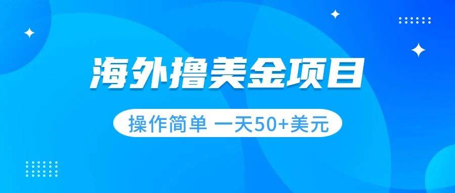 撸美金项目 无门槛  操作简单 小白一天50 美刀-小二项目网
