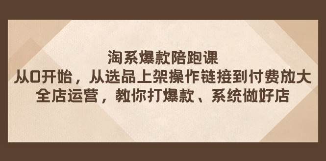 淘系爆款陪跑课 从选品上架操作链接到付费放大 全店运营 打爆款 系统做好店-小二项目网