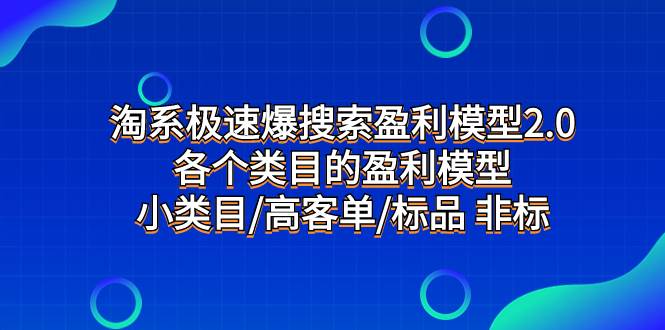 淘系极速爆搜索盈利模型2.0，各个类目的盈利模型，小类目/高客单/标品 非标-小二项目网