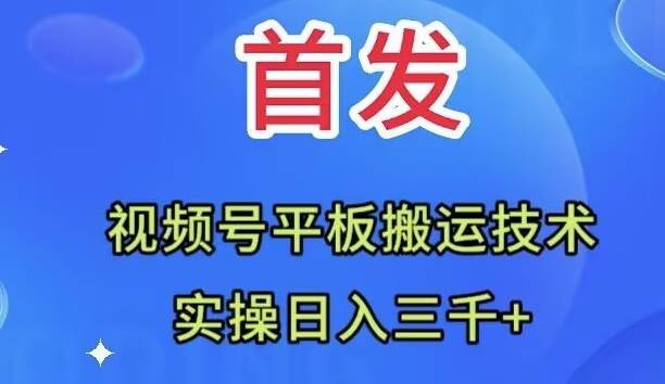 全网首发：视频号平板搬运技术，实操日入三千＋-小二项目网